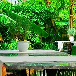 Pom Alaçatı Boutique Hotel Çeşme