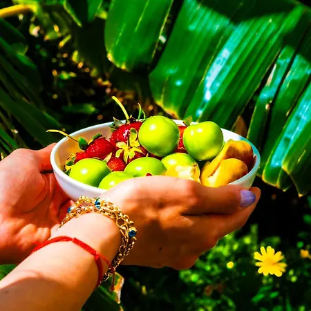 Szálloda Pom Alacati Boutique Çeşme