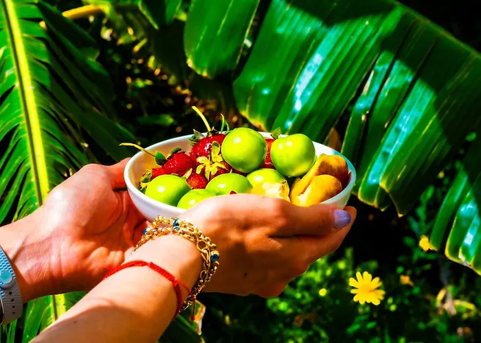 מלון Pom Alacati Boutique Çeşme